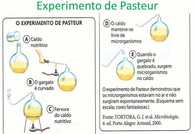 Ilustração do experimento de Pasteur (Foto: Slideplayer)