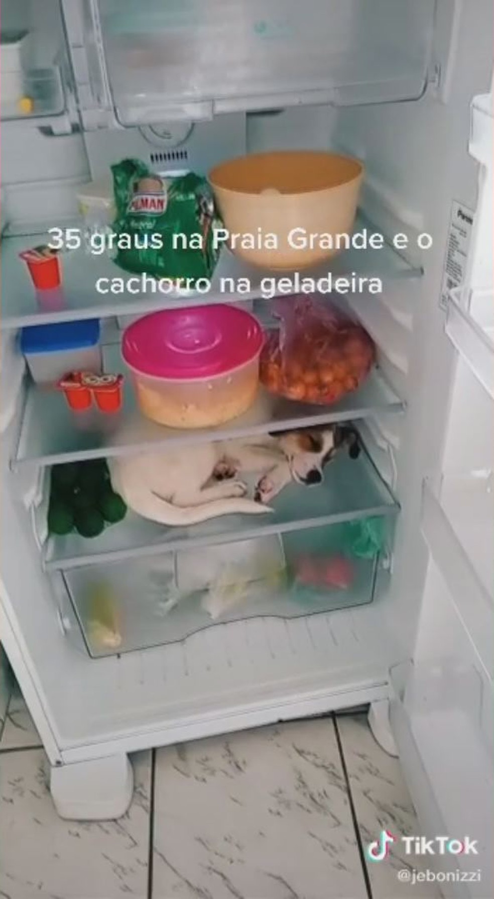 Vídeo divulgado no TikTok já alcançou milhares de internautas — Foto: Reprodução