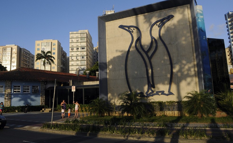 Aquário de Santos funciona a 7 décadas e se consolidou como um dos principais do Brasil  — Foto: Divulgação/Prefeitura de Santos