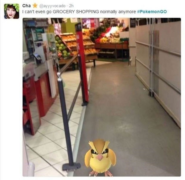 Pokémon GO Floripa