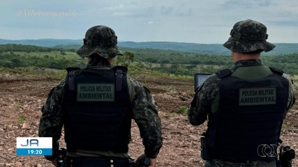 Propriedades rurais são embargadas durante operação contra o desmatamento; saiba mais