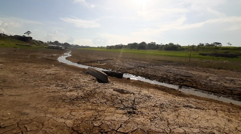 Seca no alto Solimões, no Amazonas — Foto: Rede Amazônica