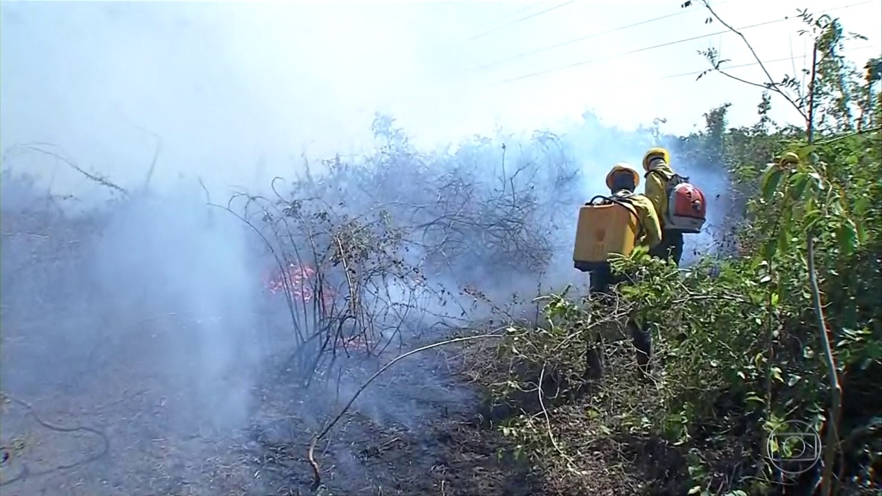 Governo oferece ajuda para combater queimadas no Pantanal