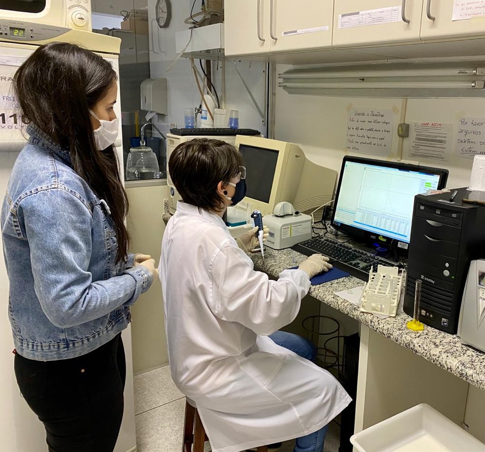 Pesquisadores da Universidade Federal de Alfenas investigam os componentes do novo coronavírus associados à vacina BCG.  — Foto: Arquivo Pessoal/Leonardo Augusto de Almeida