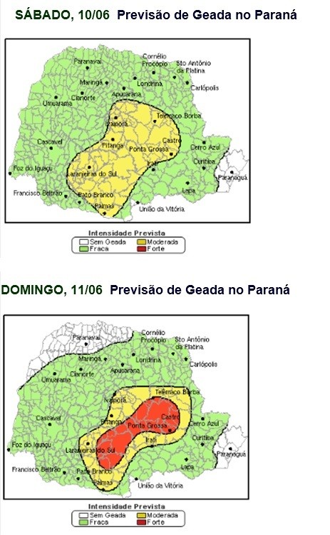 Geada Paraná (Foto: AgRural/Simepar)
