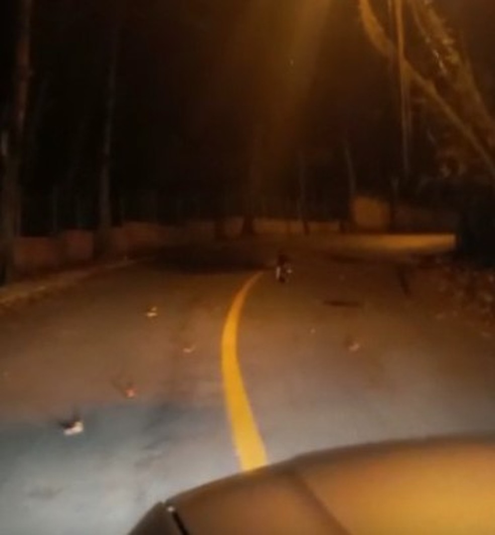 Cláudio José Santana Claudino acompanhou o cachorro de carro até o condomínio onde trabalha, em Guarujá, SP. — Foto: Arquivo Pessoal