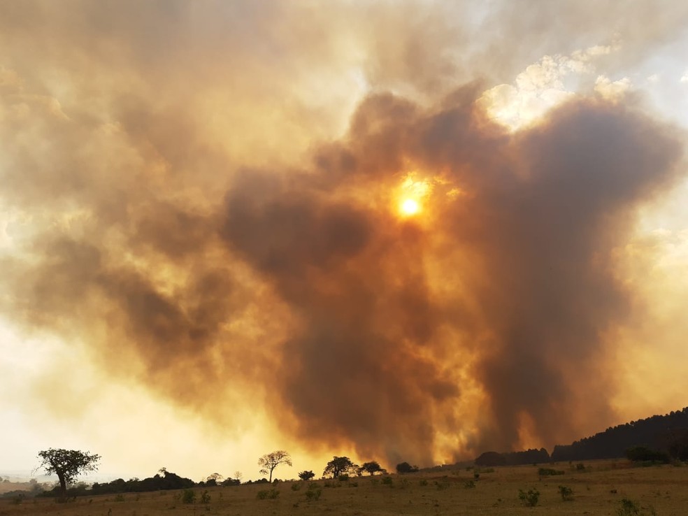 Incêndio próximo à Estação Ecológica de Bauru na tarde desta quinta-feira — Foto: Fernando Savioli/TV TEM