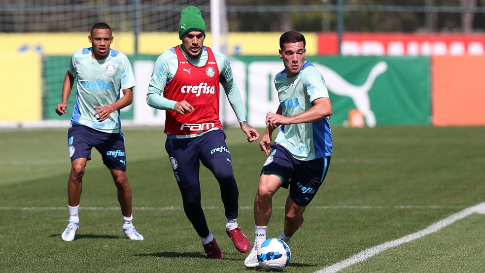 Após vitória na noite de ontem, Palmeiras já se reapresenta de olho na Libertadores