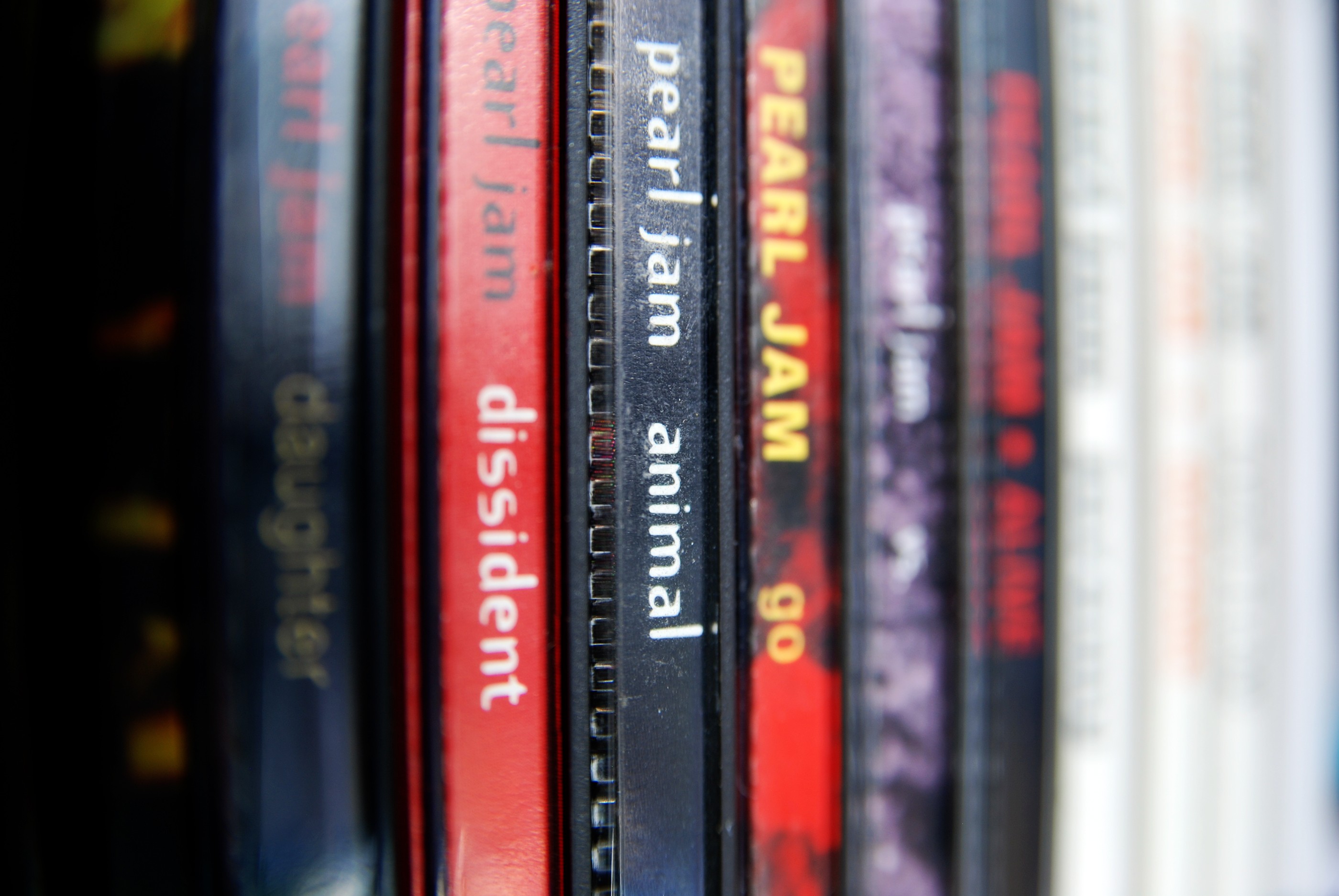 Pearl Jam anuncia novo álbum e datas de turnê americana (Foto: Getty Images)