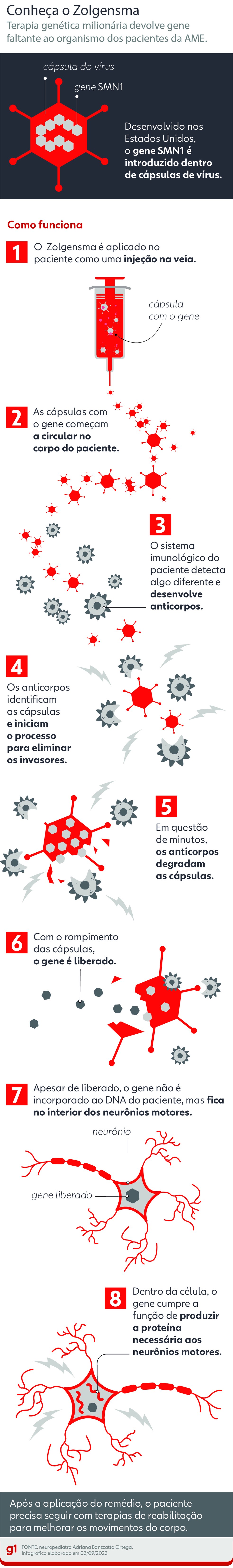 Infográfico explica funcionamento do remédio Zolgensma — Foto: Arte/Ben Ami Scopinho/NSC