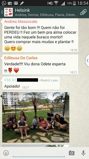 Mensagens em grupo após plantio de ipês em Brasília (Foto: WhatsApp/Reprodução)