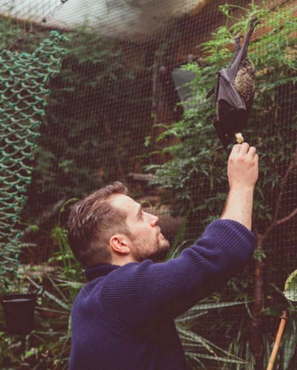 O ator Henry Cavill alimenta o morcego Ben (Foto: Reprodução/Instagram)