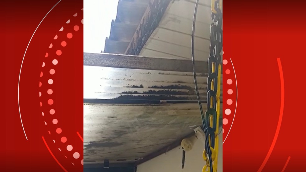 Casa de moradora de Maring&aacute; &eacute; tomada por cupins  &mdash; Foto: reprodu&ccedil;&atilde;o