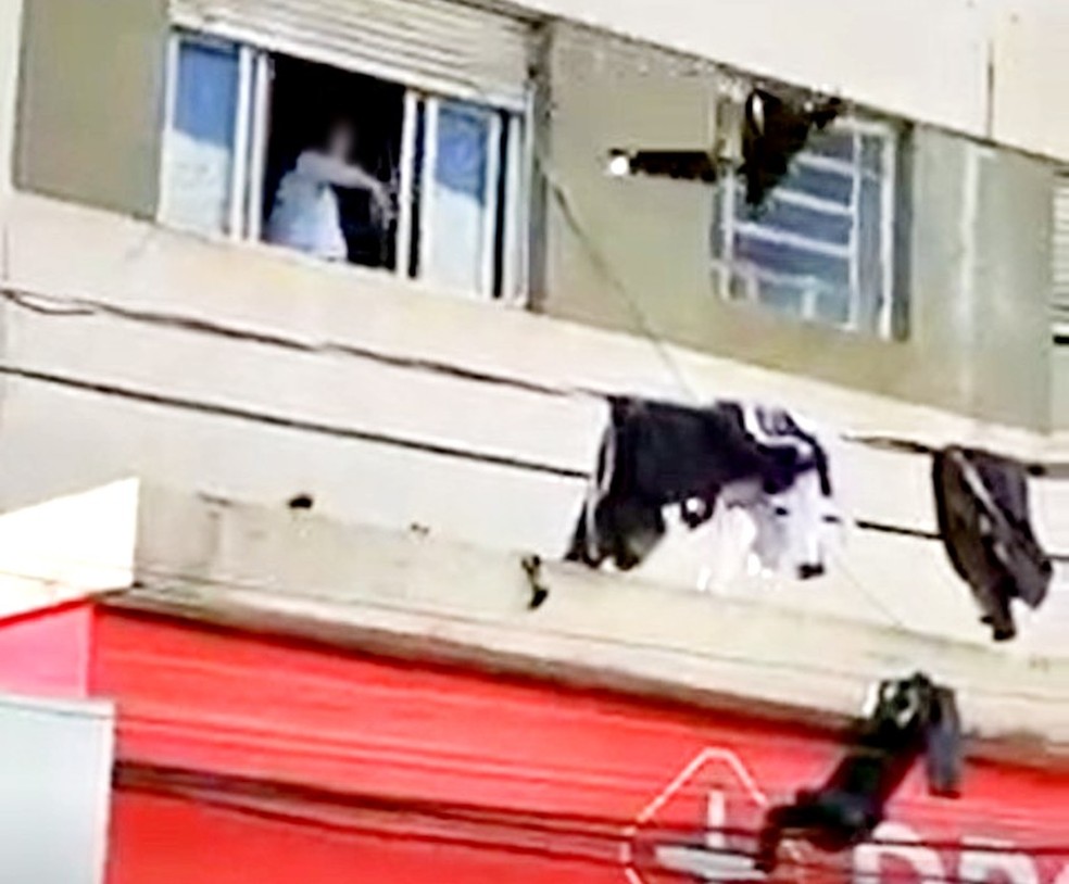 Briga de casal termina com roupas do marido jogadas na fiação elétrica da região central de Botucatu — Foto: Arquivo pessoal