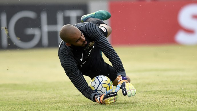 danilo fernandes pênalti fluminense internacional (Foto: André Durão / GloboEsporte.com)
