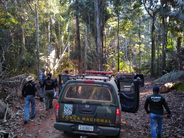 Operação Karipuna identifica invasões e extração ilegal de madeira em reserva indígena no estado de RO (Foto: Andreia Fortini/TV Rondônia)