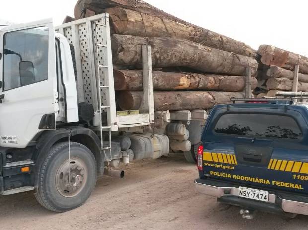 Carga de madeira ilegal apreendida nesta quinta (23) em Ipixuna do Pará tinha como destino uma serraria em Paragominas, no sudeste do Pará. (Foto: Divulgação/Polícia Rodoviária Federal)