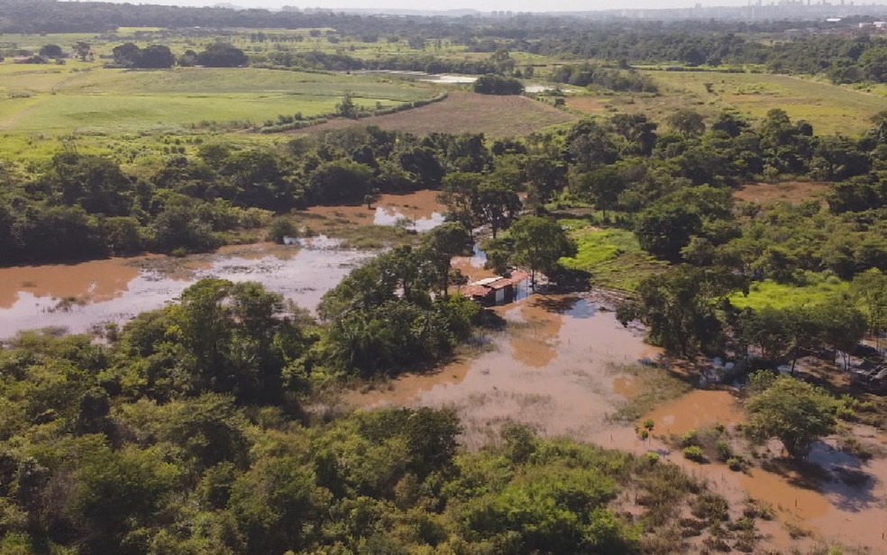 Rio Meia Ponte enche e alaga casas, em Goiânia — Foto: Reprodução/TV Anhanguera