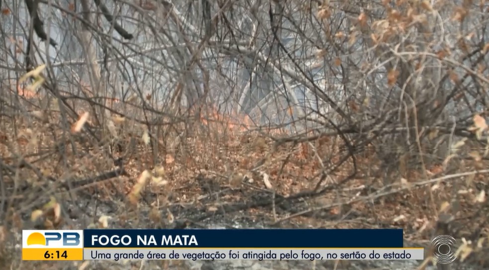 Segundo os bombeiros, o foco do incÃªndio fica localizado no pÃ© de uma serra, na zona rural do municÃ­pio â Foto: TV ParaÃ­ba/ReproduÃ§Ã£o