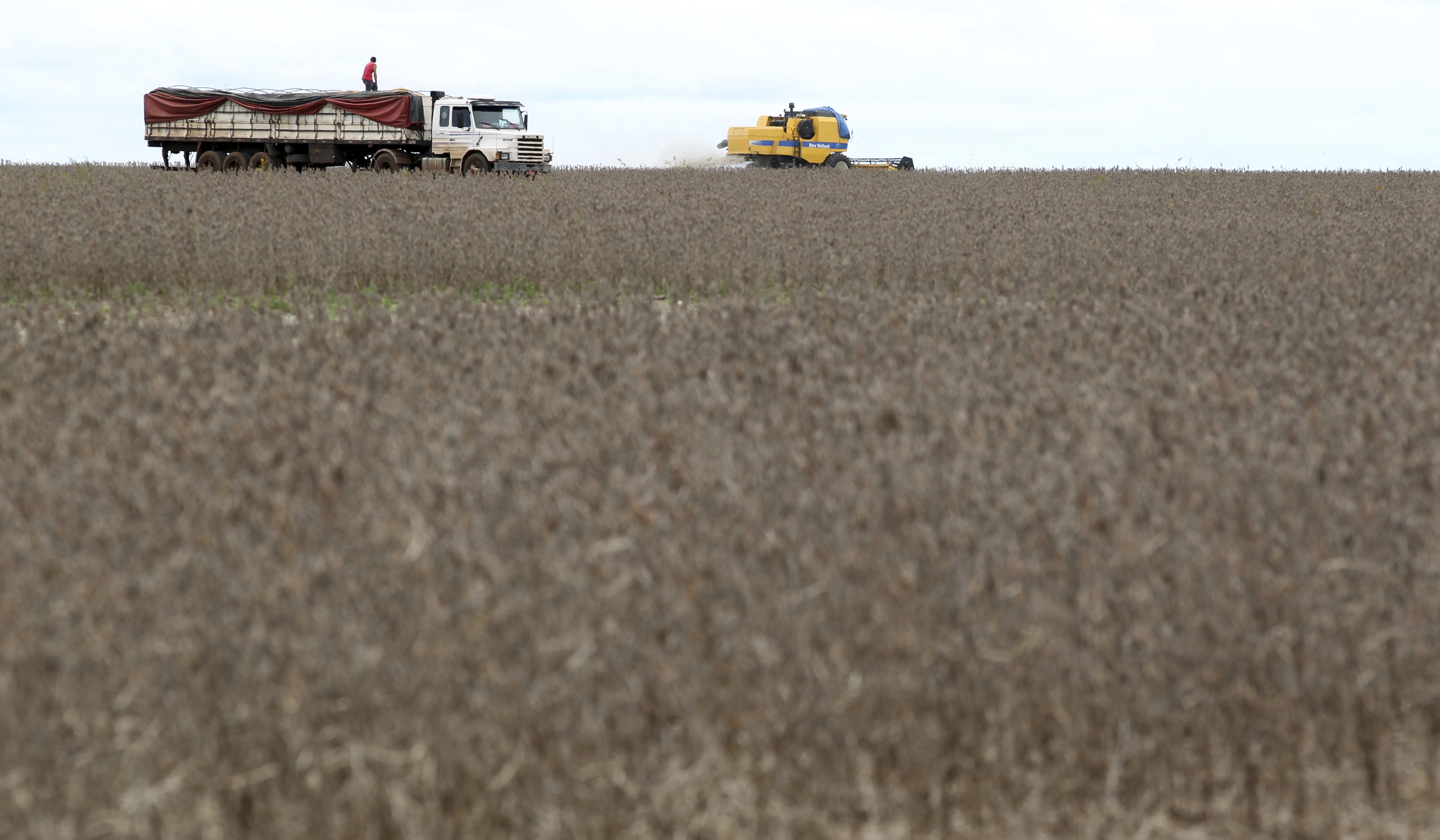 Caminhão é carregado com soja em fazenda no Brasil (Foto: Paulo Whitaker/Reuters)