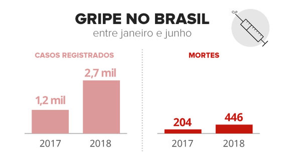 Gripe no Brasil (Foto: Arte/G1)