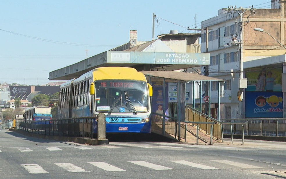 Ônibus do Eixo Anhanguera, em Goiânia — Foto: Reprodução/TV Anhanguera
