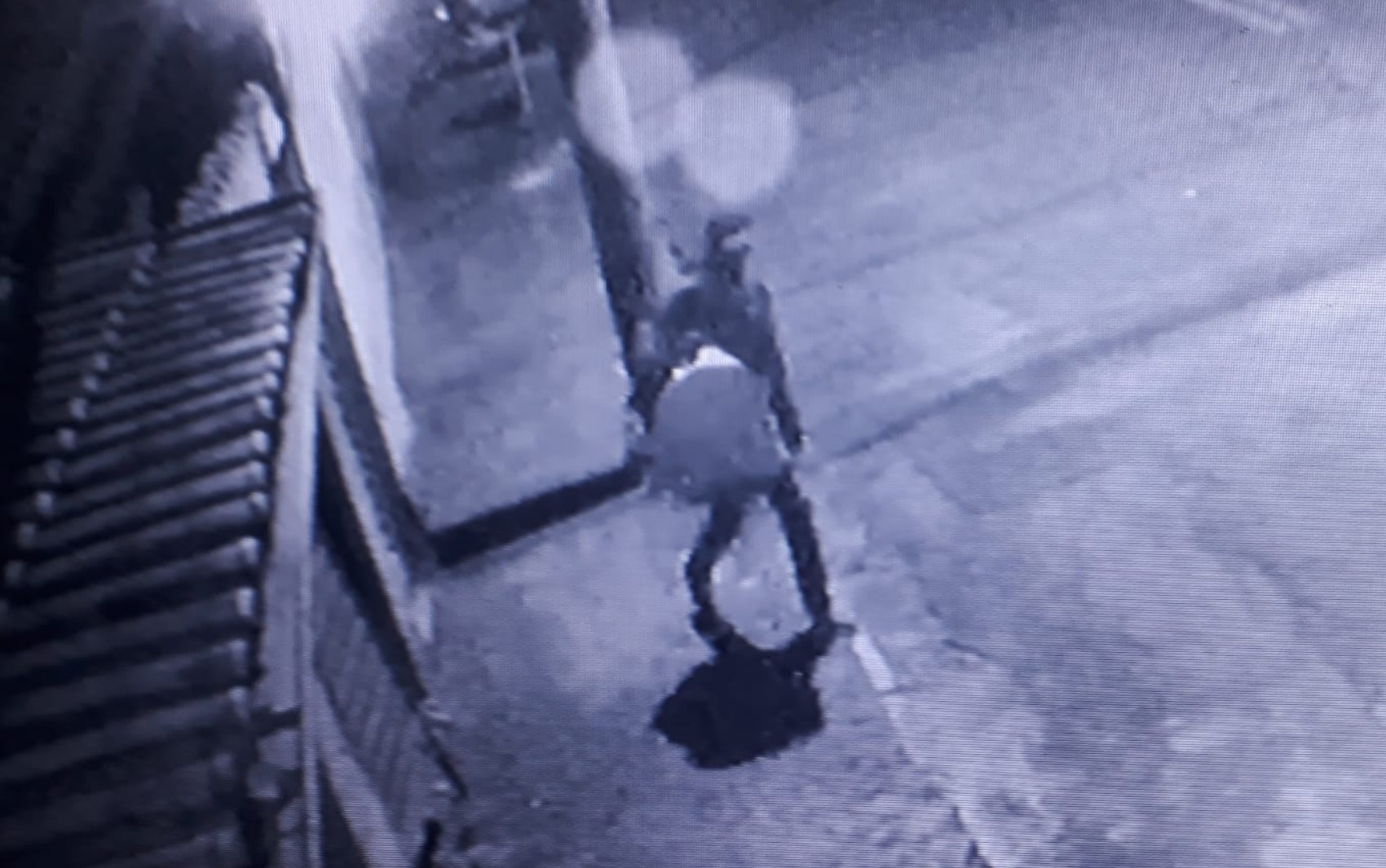 Homem é flagrado furtando casa e levando até passarinho de estimação, em Anápolis; vídeo