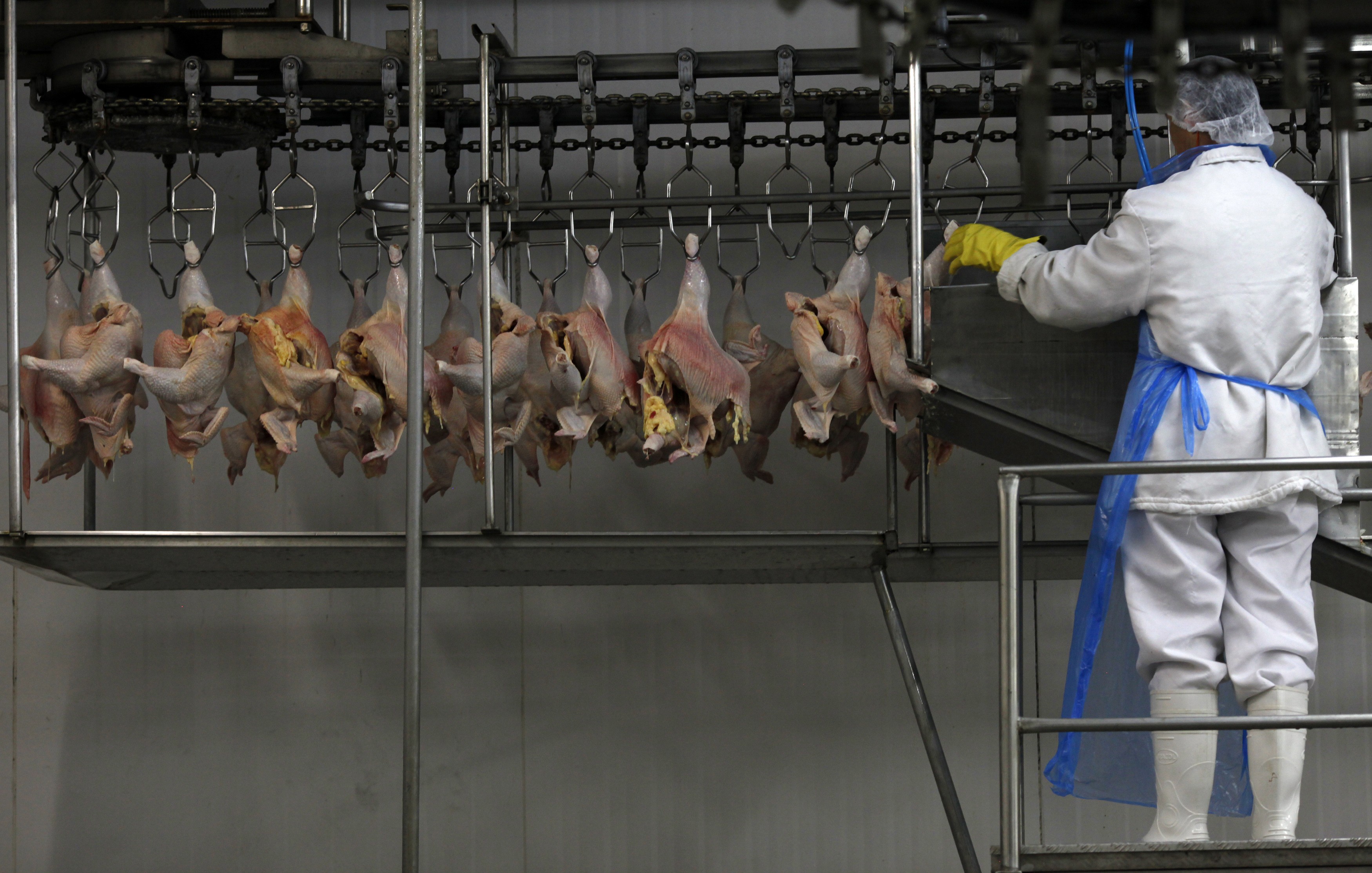 Exportação de carne de frango do Brasil cai 4,7% no 1º bimestre; ABPA vê março positivo thumbnail
