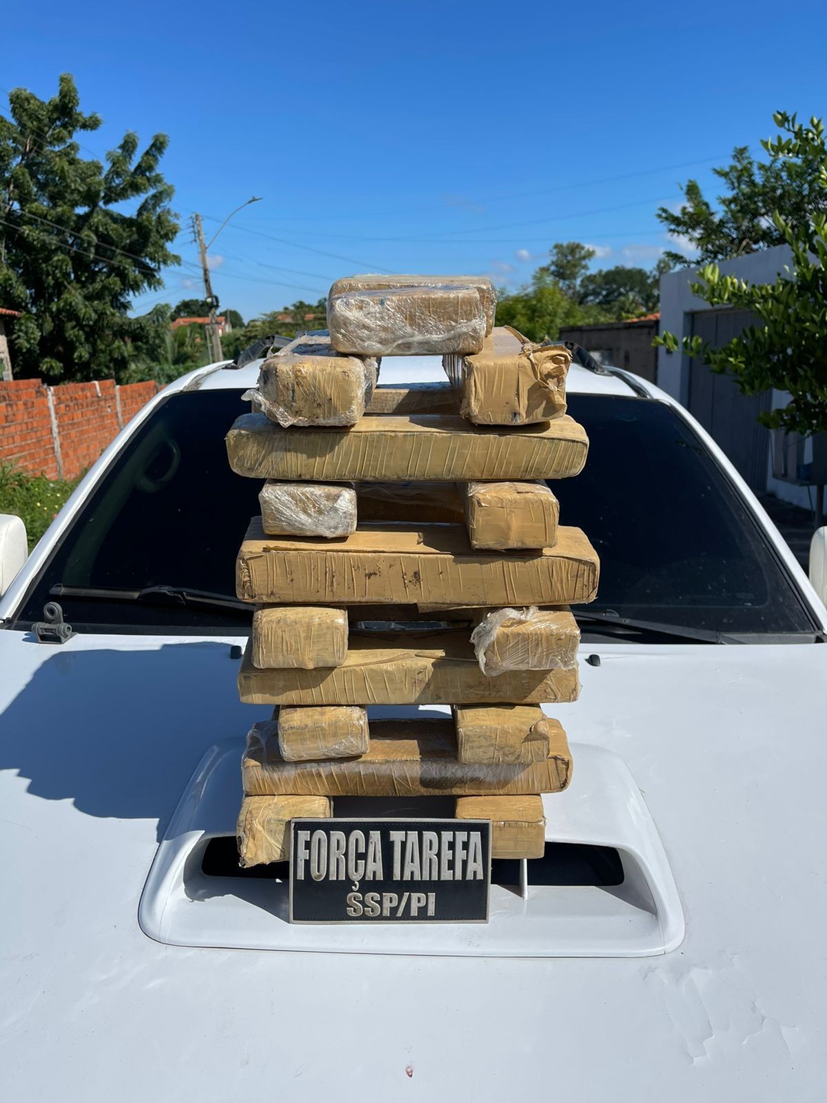 Força Tarefa apreende 20 kg de maconha em casa e prende dono do imóvel em Teresina