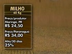 Preço internacional do milho tem valorização de 45% em 30 dias 