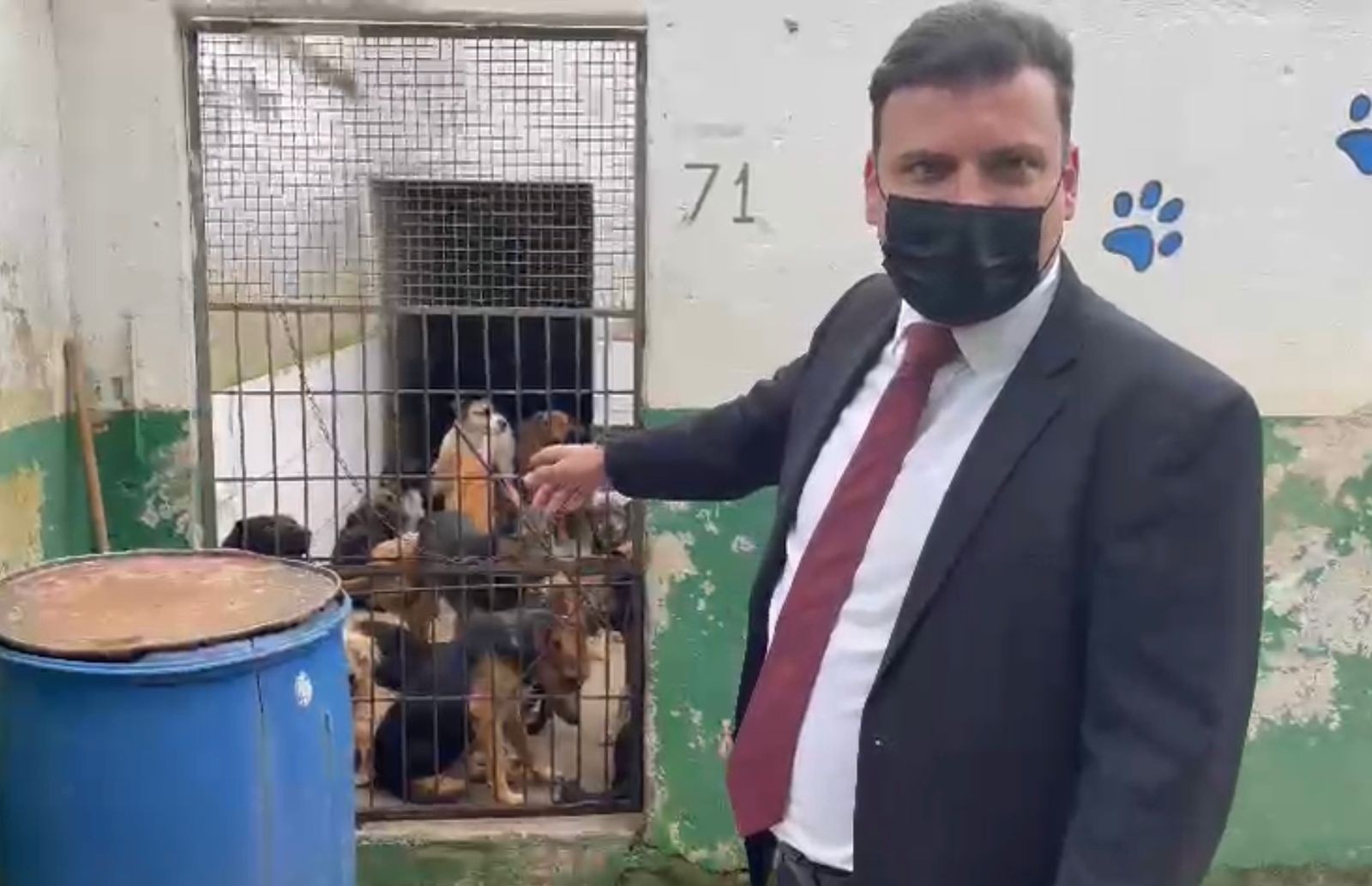 Polícia Civil flagra superlotação, brigas entre animais e falta de higiene no Canil Municipal de Juiz de Fora