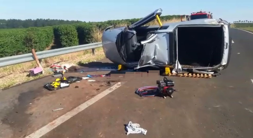 Motorista e cachorro morreram em acidente na SP-294 em Garça (Foto: Mariana Lima / TV TEM)