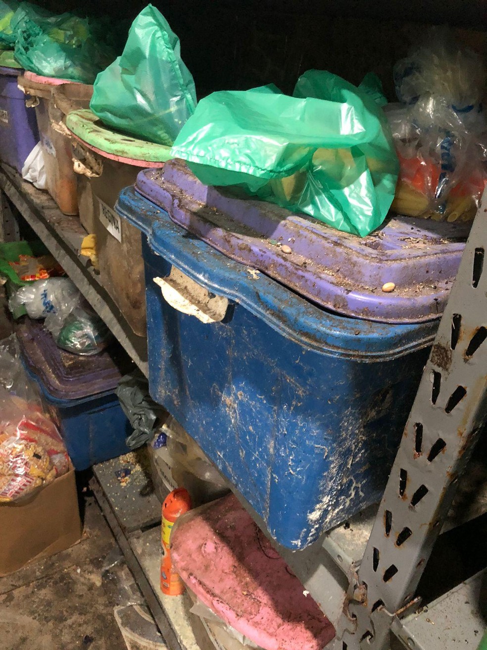 Vigilância Sanitária de Maceió flagra irregularidades em estabelcimentos comerciais de Maceió — Foto: VISA Maceió