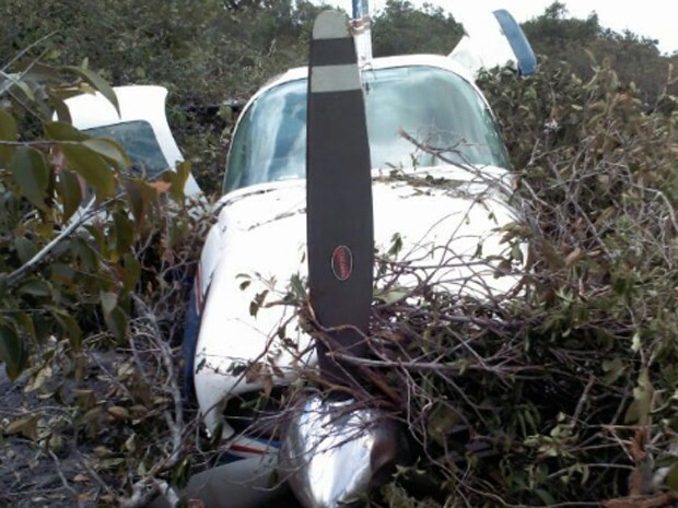 Avião teria caído por falha no motor, de acordo com o piloto (Foto: Divulgação/GTA)