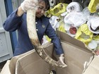 Carga de marfim avaliada em 
R$ 1,3 milhão é apreendida na Malásia