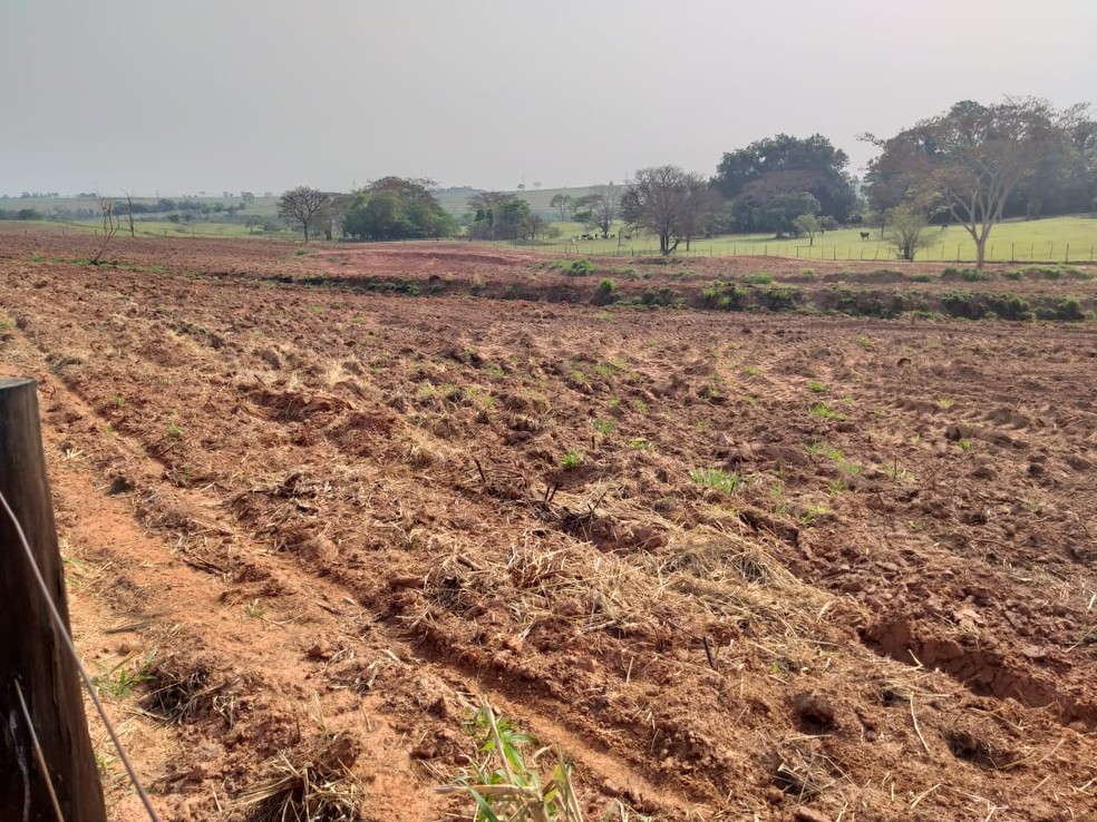 Sitiante recebeu multa por atear fogo em área de vegetação em Álvares Machado — Foto: Polícia Militar Ambiental