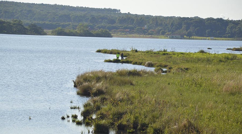Vítima se afogou no Grande Lago em Paraguaçu Paulista  — Foto: I7 Notícias / Divulgação 