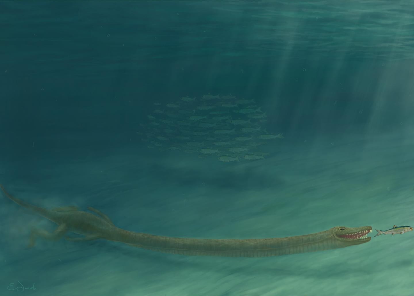 Dinossauros de pescoço longo viviam no oceano, não na terra (Foto: Emma Finley-Jacob)