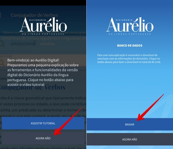 Dicionario Aurelio Esta Disponivel Para Download No Celular Saiba Usar Educacao Techtudo