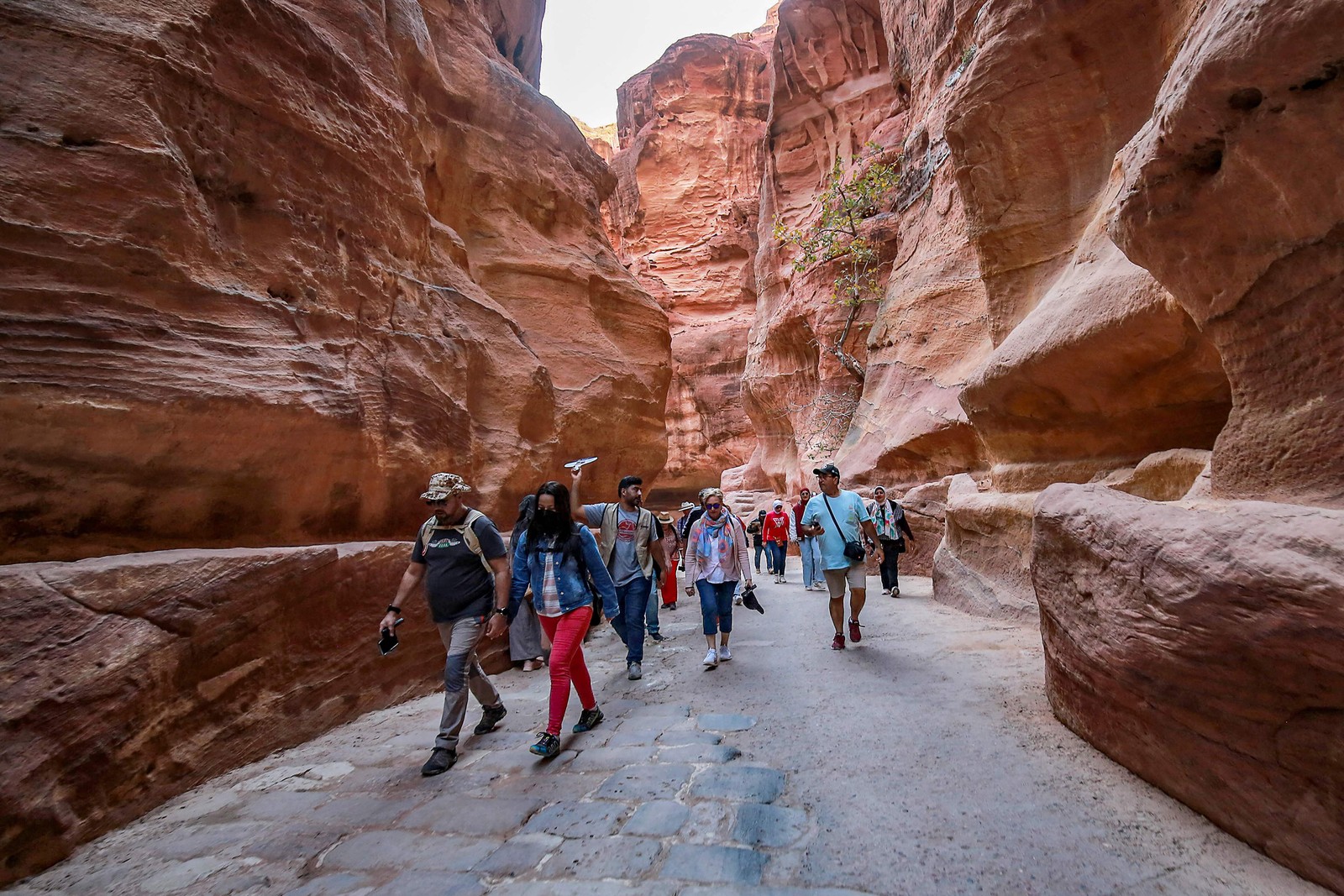 O número é um pouco menor que o recorde estabelecido em 2019, quando Petra, na Jordânia, recebeu um milhão de turistas — Foto: Khalil Mazraawi / AFP