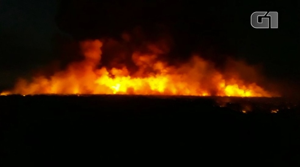 Incêndio volta a atingir região de mata em Pio IX, Sul do Piauí — Foto: Reprodução