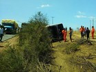 Ônibus que saiu de Salvador tomba na BA-120 e deixa mais de 15 feridos