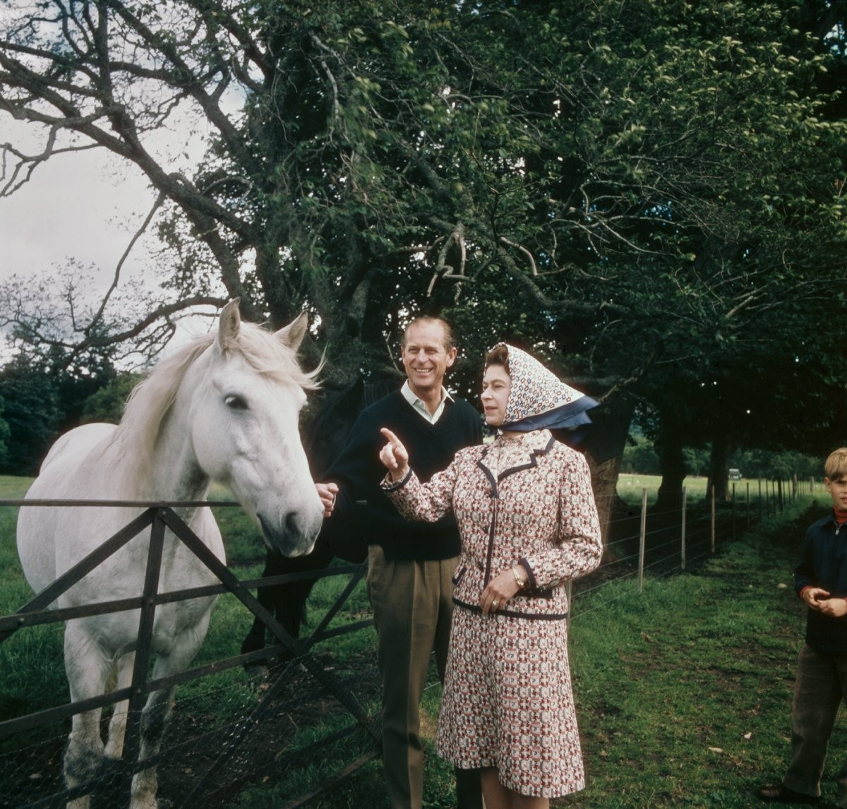 O segundo lugar conquistado pela rainha no Derby de Epsom, em 1953, foi uma das razões para a popularização do hipismo na Grã-Bretanha (Foto: Getty Images/ Reprodução)