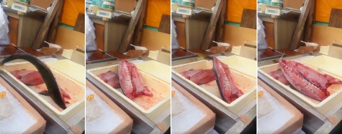 Metade de atum salta em mercado