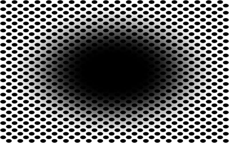 'Buraco em expansão' é ilusão nova para a ciência, que leva as pupilas do olho humano a dilatar  (Foto: Laeng, Nabil, and Kitaoka)