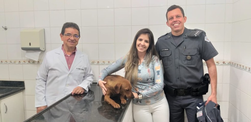 Veterinário, integrante de ONG e o cabo Rossaneli  — Foto: Polícia Militar/Divulgação