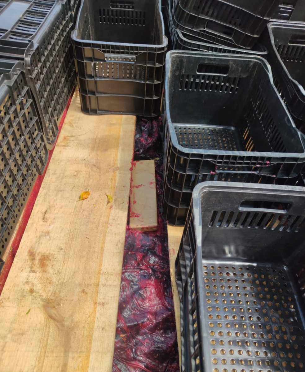 Droga estava escondida embaixo de caixas vazias utilizadas para o transporte de hortifrútis em Jaú — Foto: Polícias Federal e Rodoviária/Divulgação