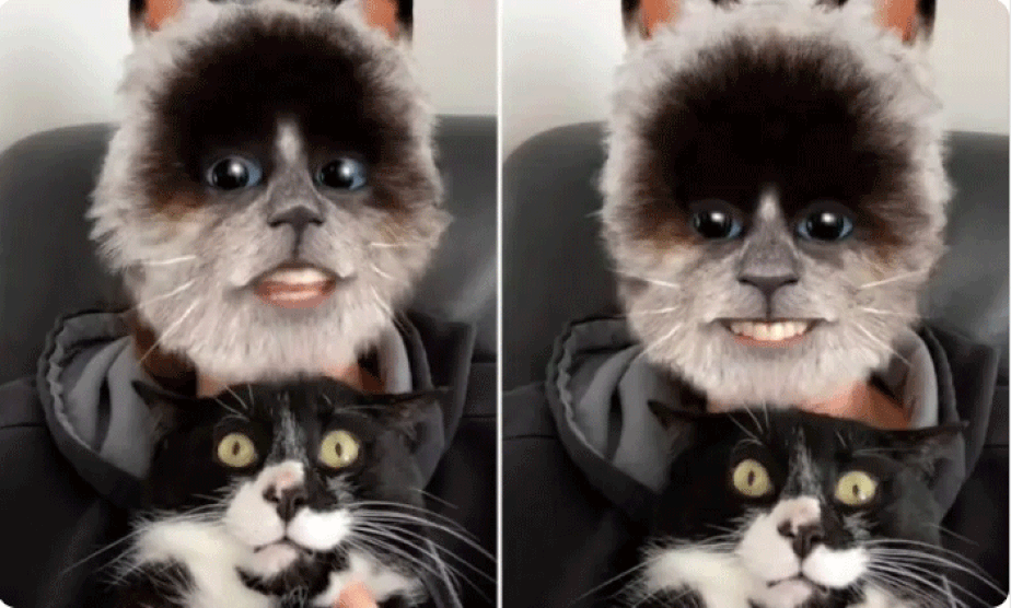 Gato se assusta ao ver dona usando cara de gato no TikTok