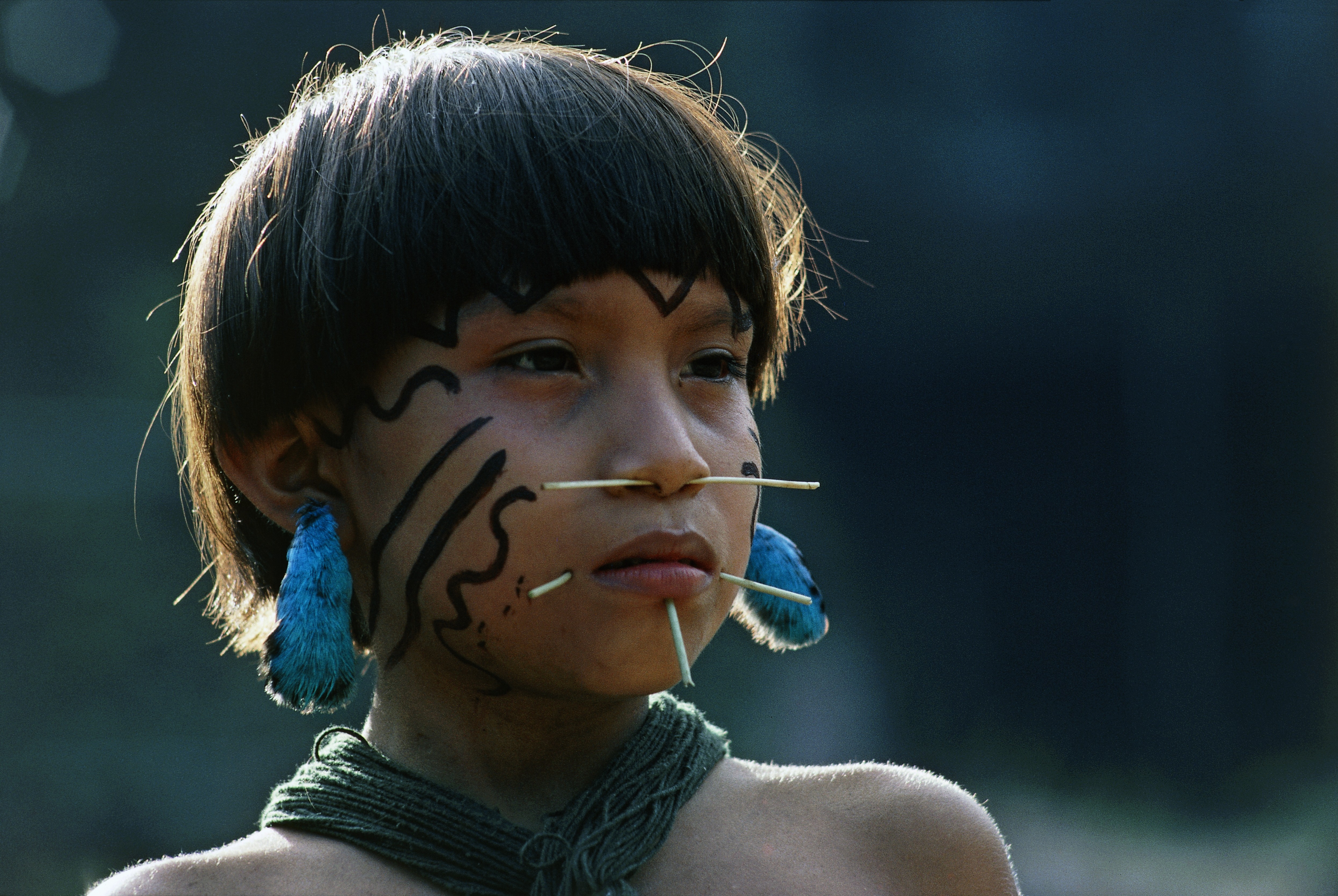 VENEZUELA - APRIL 23: Yanomami girl with fine palm sticks through her face, traditional symbols of beauty, The Amazon rainforest, Venezuela. (Photo by DeAgostini/Getty Images) (Foto: De Agostini via Getty Images)