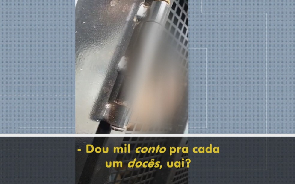 Suspeito oferece dinheiro a PMs para ser liberado de furto em Mineiros, Goiás — Foto: Reprodução/TV Anhanguera